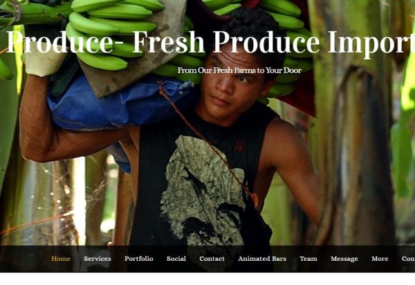 HB produce web site was developed by Vandulo web design and hosting