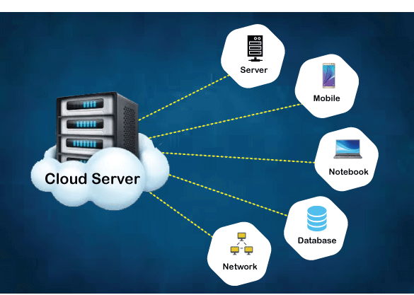 Vandulo-web-development-service-company-IT-and-cloud-hostings