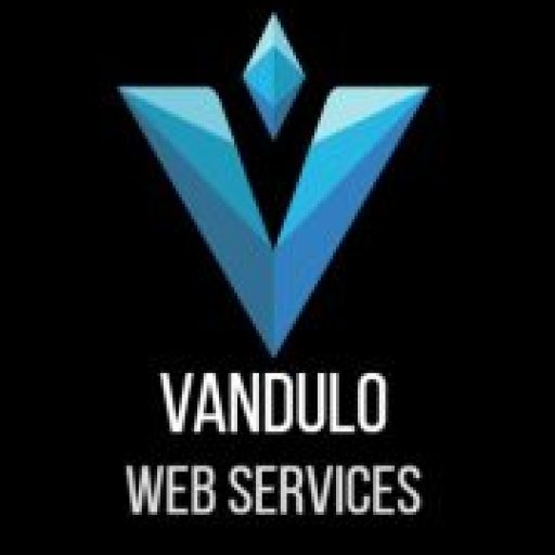 Vandulo Custom Web Development & Hosting Agency